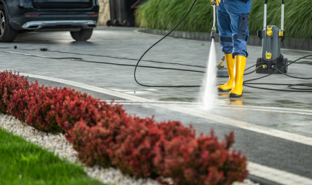 Best Solar Panel Cleaning  in West Jefferson, OH
